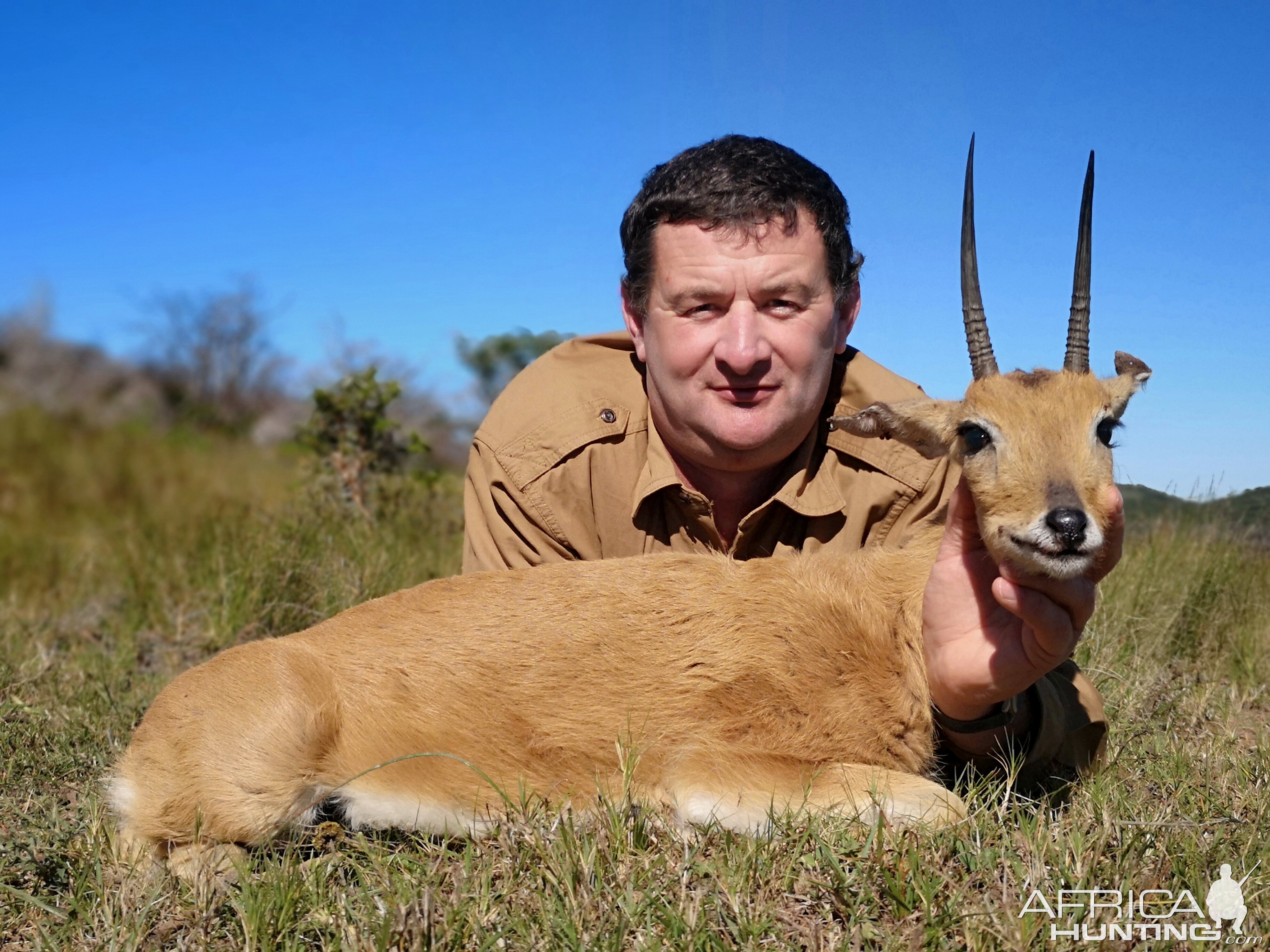 Hunting Oribi in South Africa