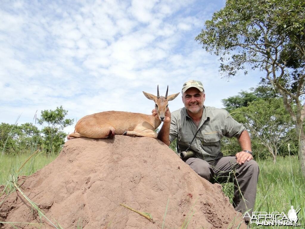 Hunting Oribi in Uganda