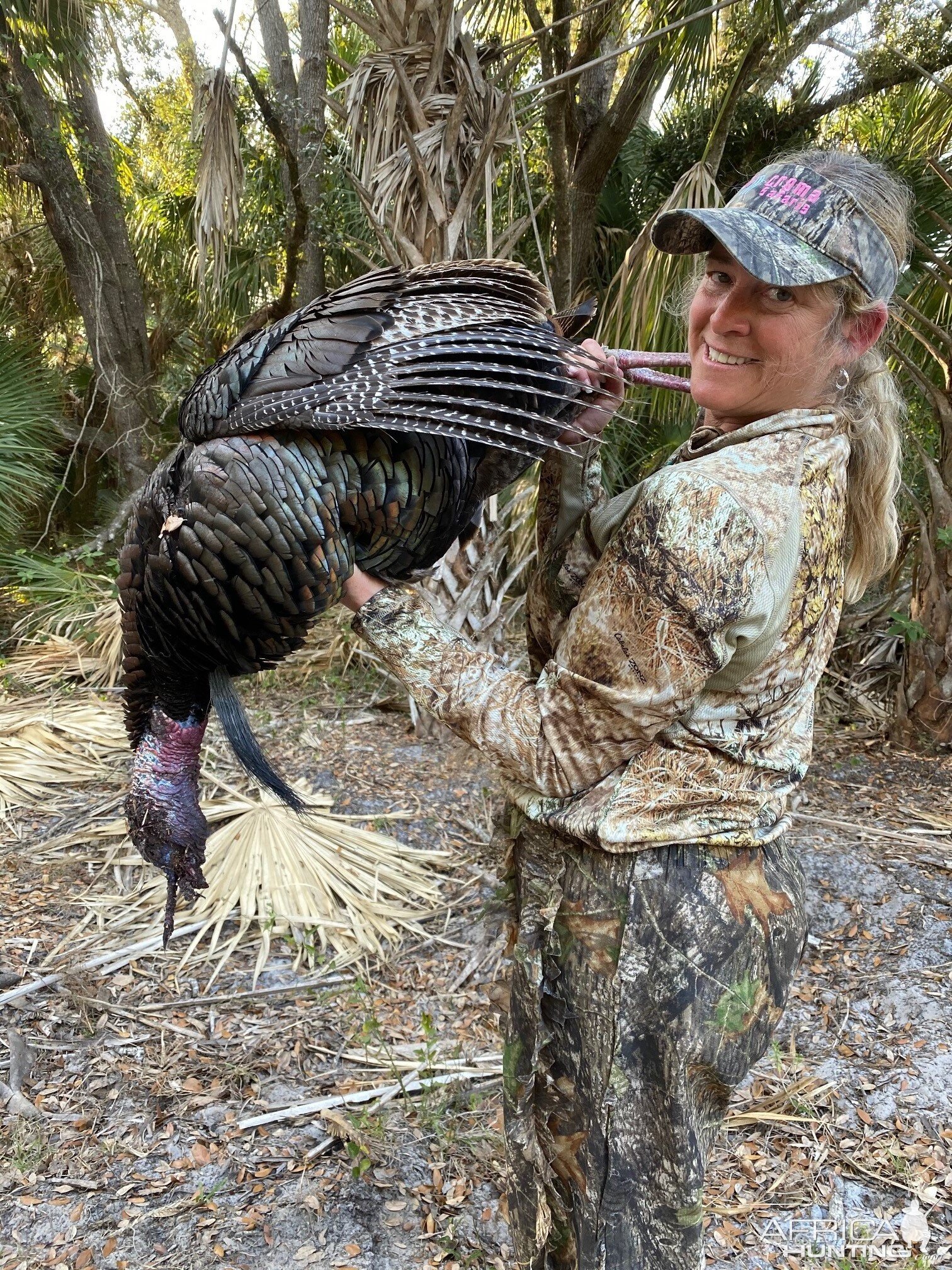 Hunting Osceola Turkey in Florida USA