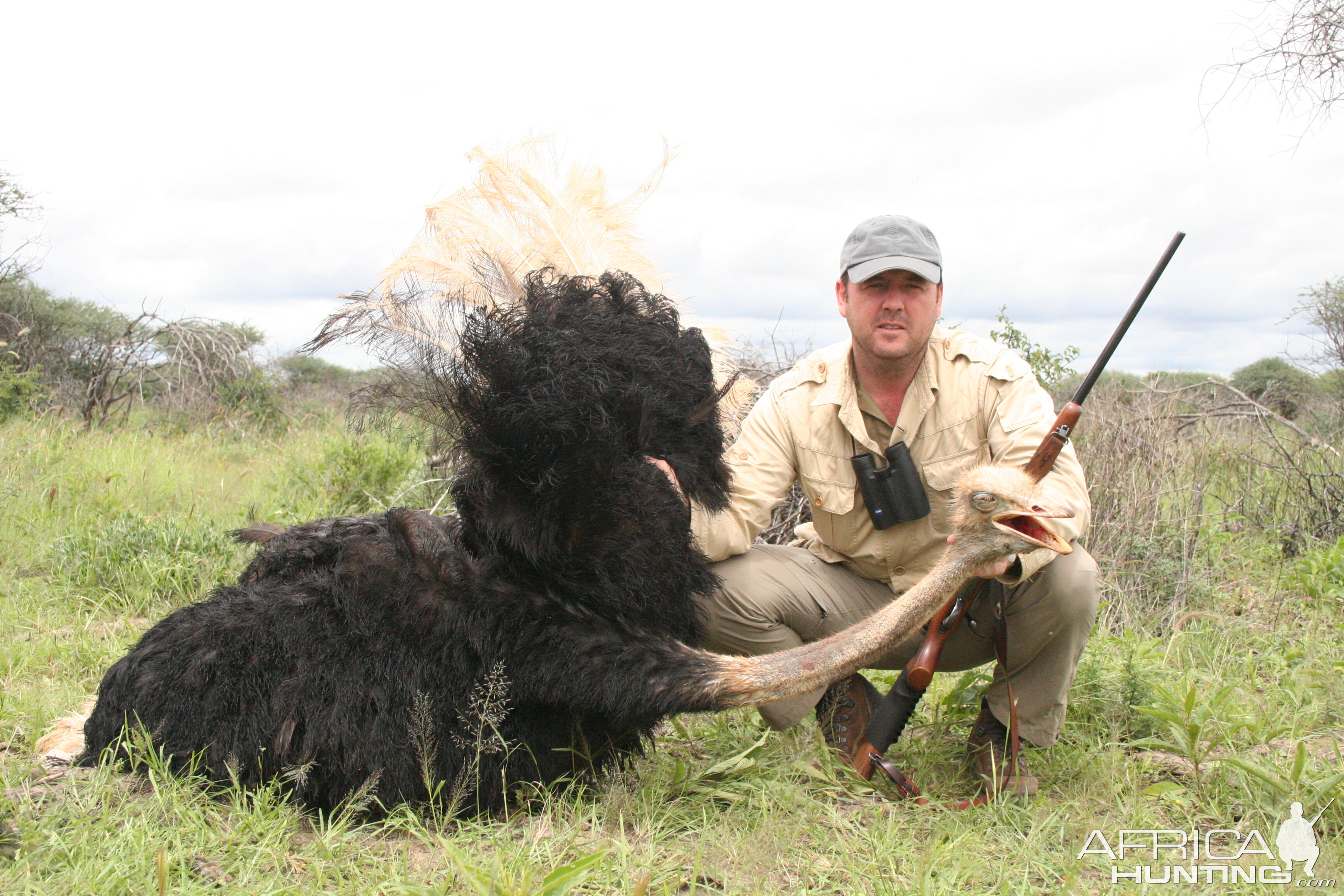 Hunting Ostrich in Namibia