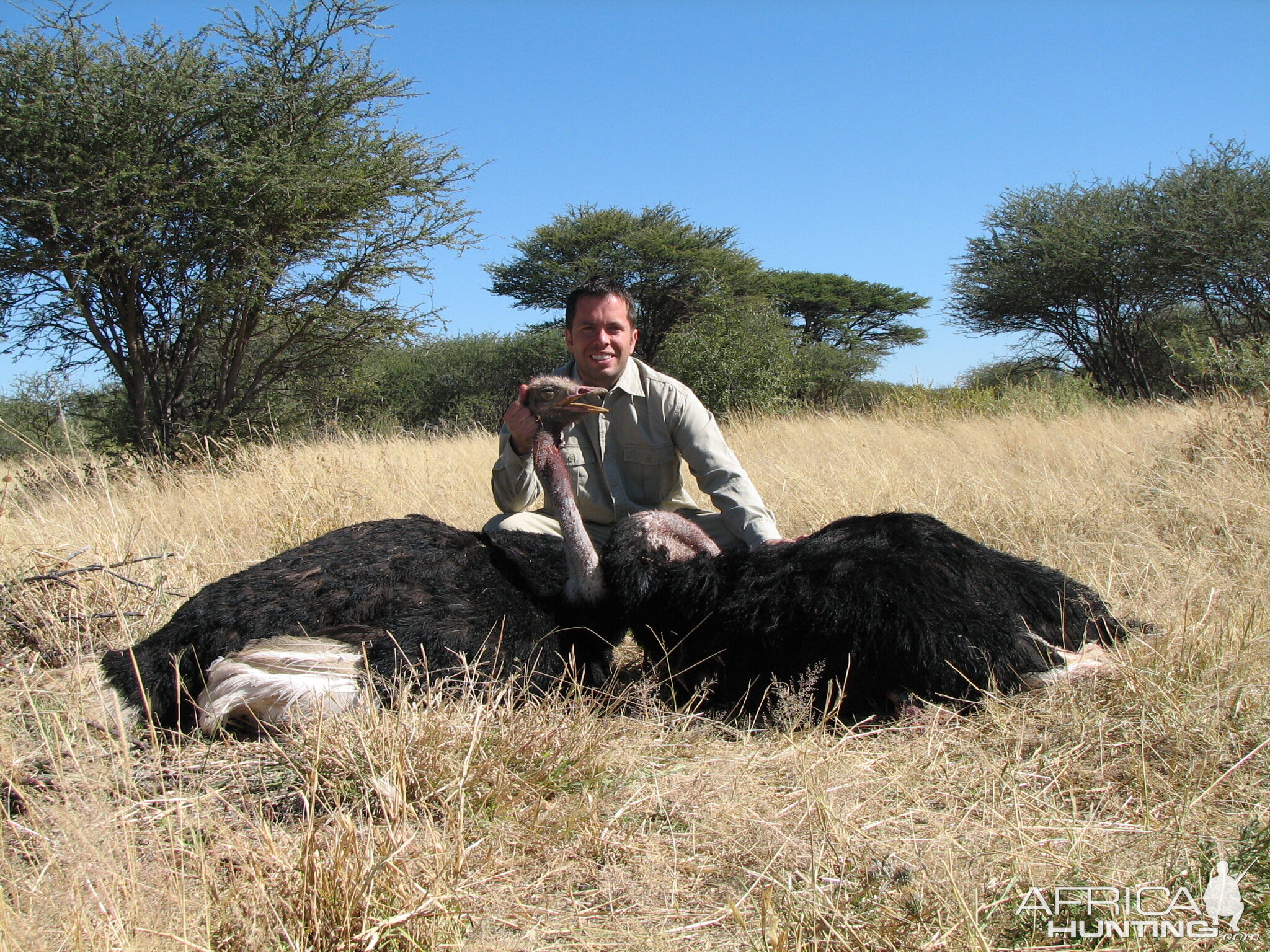 Hunting Ostrich in Namibia