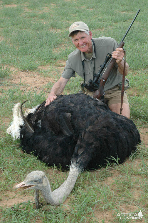 Hunting Ostrich in Namibia