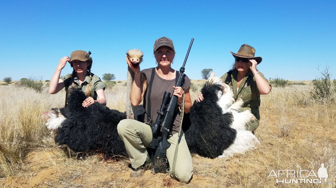 Hunting Ostrich in Namibia