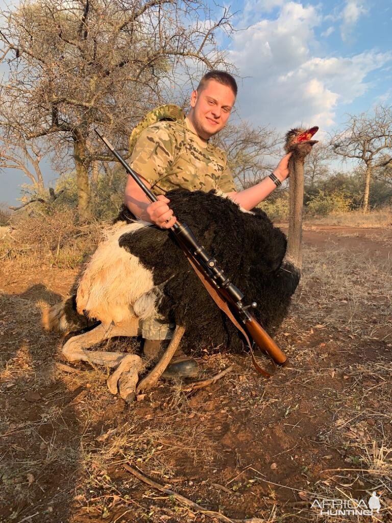 Hunting Ostrich in South Africa