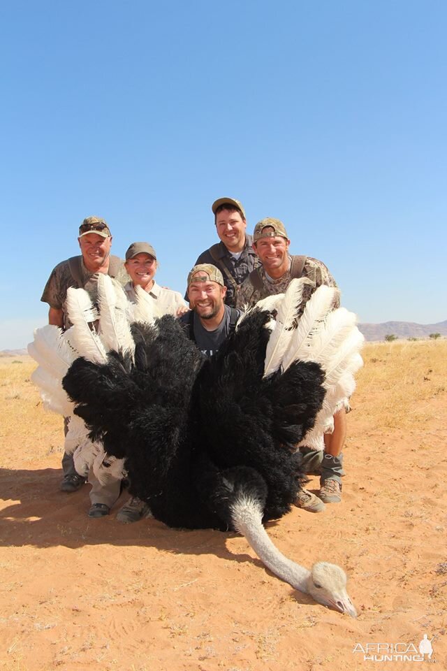 Hunting Ostrich Namibia