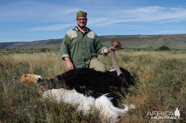 Hunting Ostrich South Africa