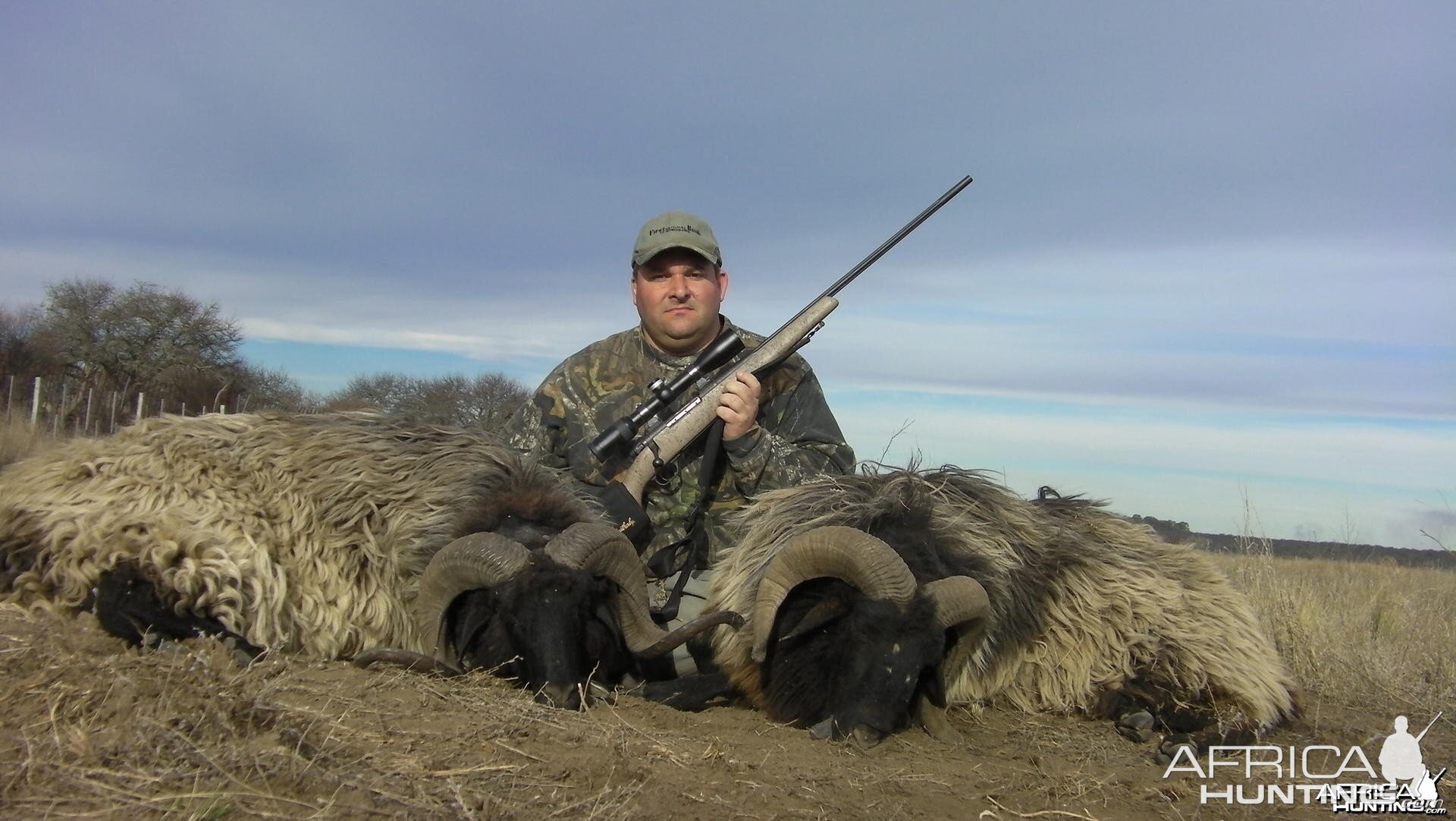 Hunting Patagonian Ram in Argentina