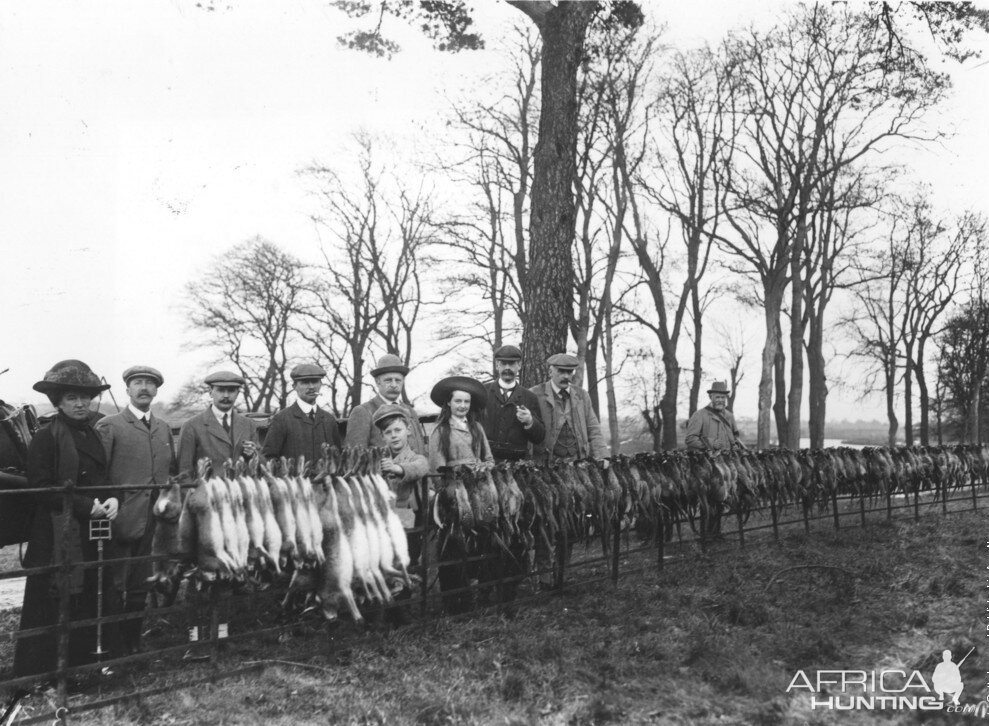 Hunting Pheasants