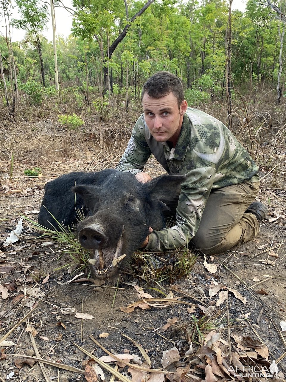 Hunting Pig Australia