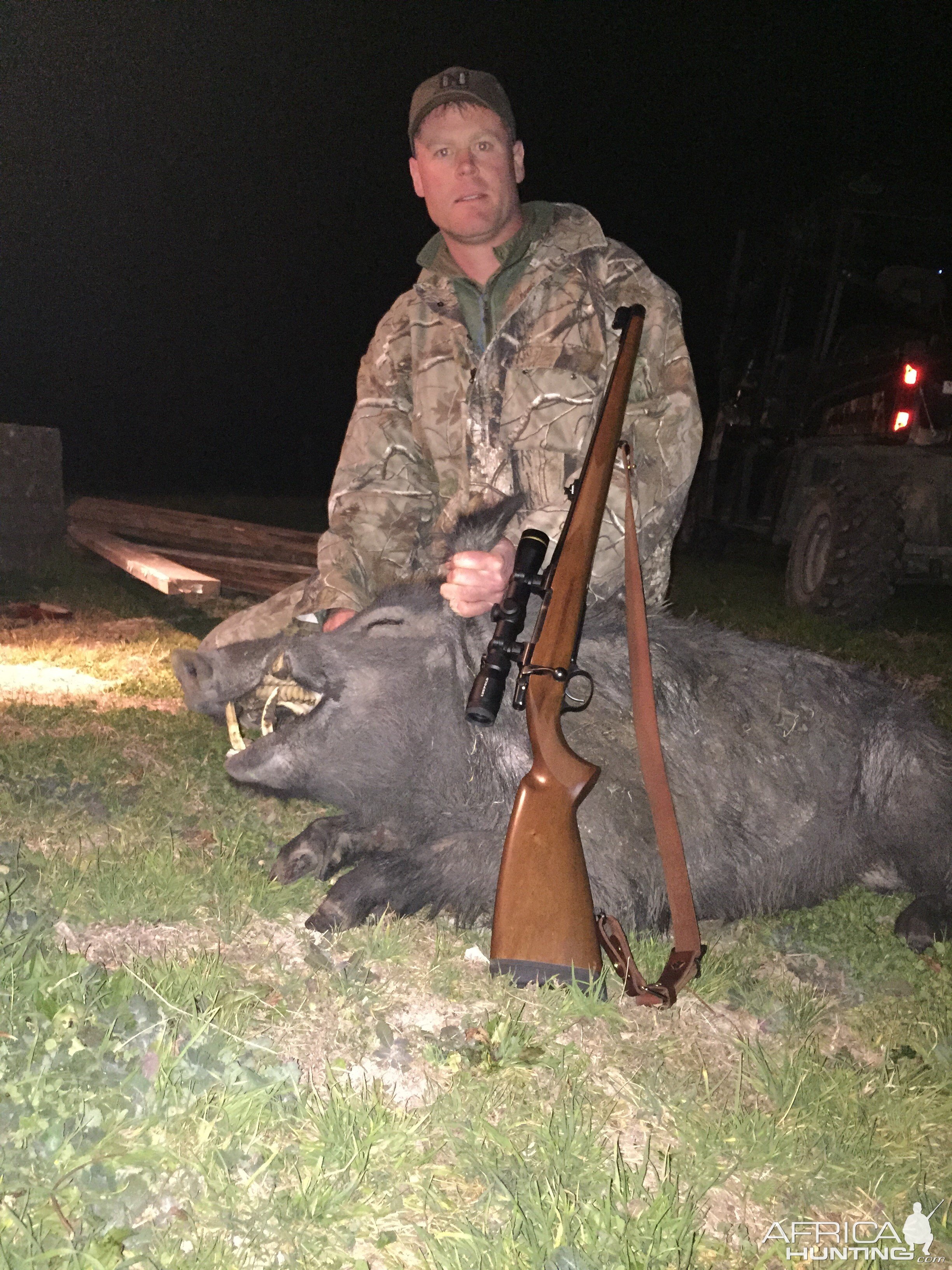 Hunting Pig In Texas