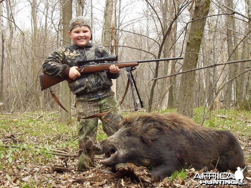 Hunting Pigs