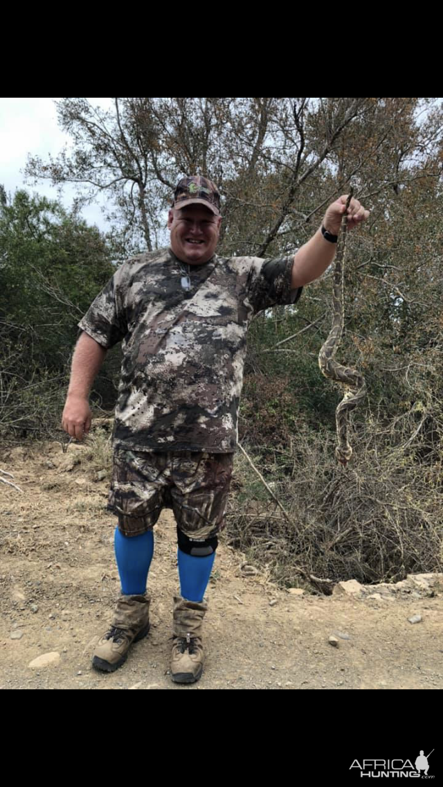 Hunting Puff Adder in South Africa