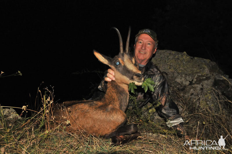 Hunting Pyrenean Chamois France