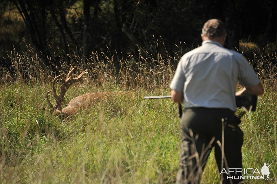 Hunting Red Deer France