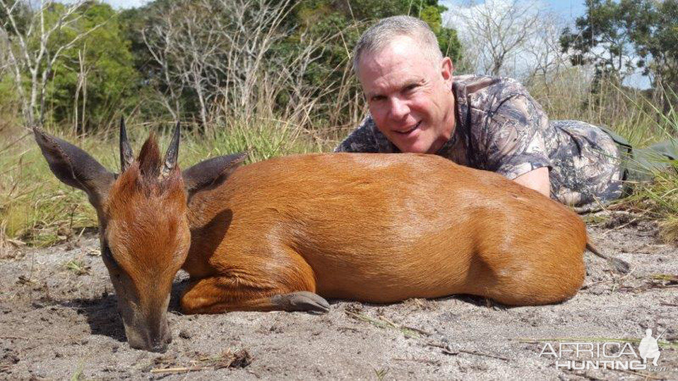 Hunting Red Duiker in Mozambique