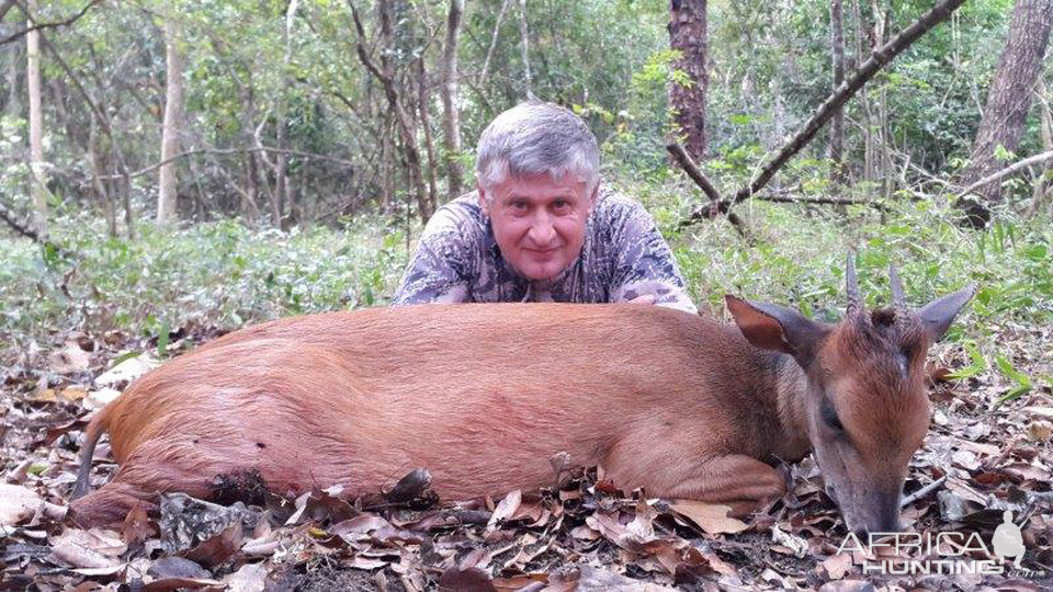 Hunting Red Duiker in Mozambique