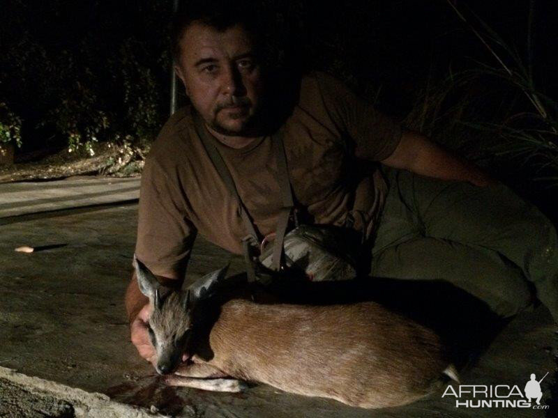 Hunting Red Duiker in Mozambique