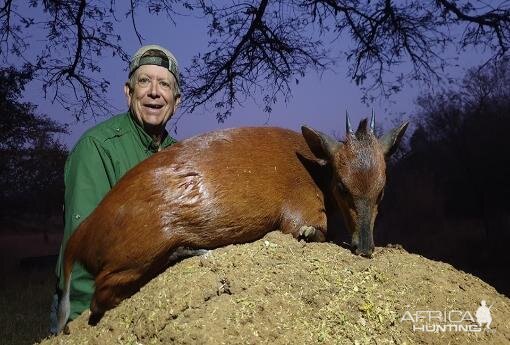 Hunting Red Duiker in South Africa