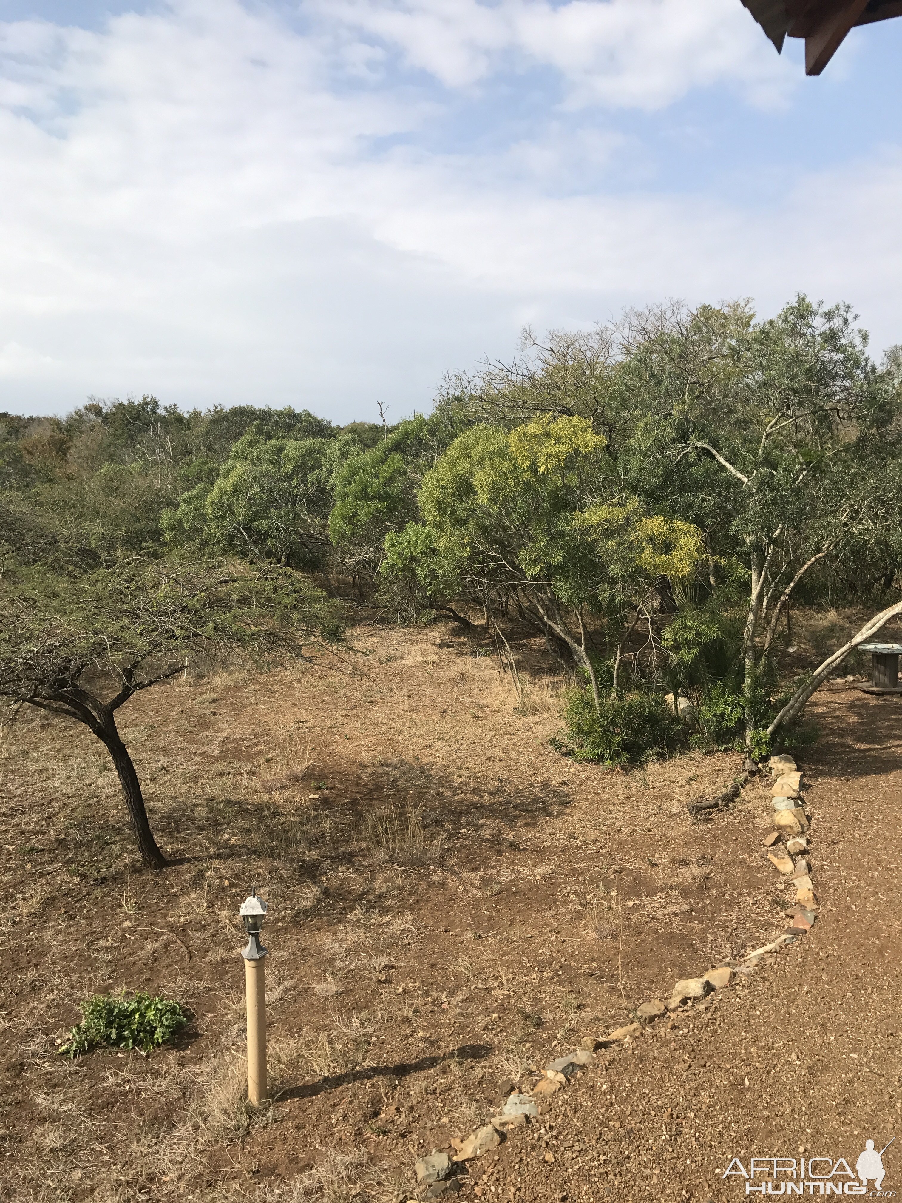 Hunting Red Duiker in South Africa