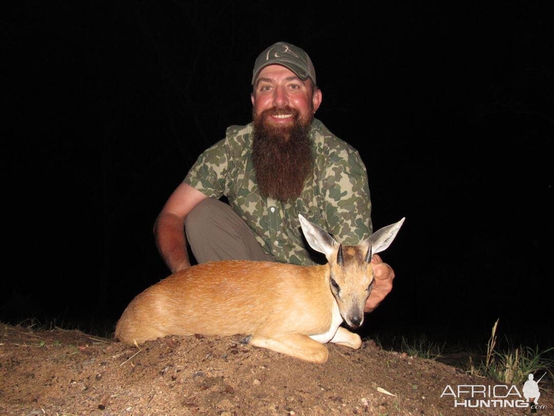 Hunting Red Duiker in Zimbabwe