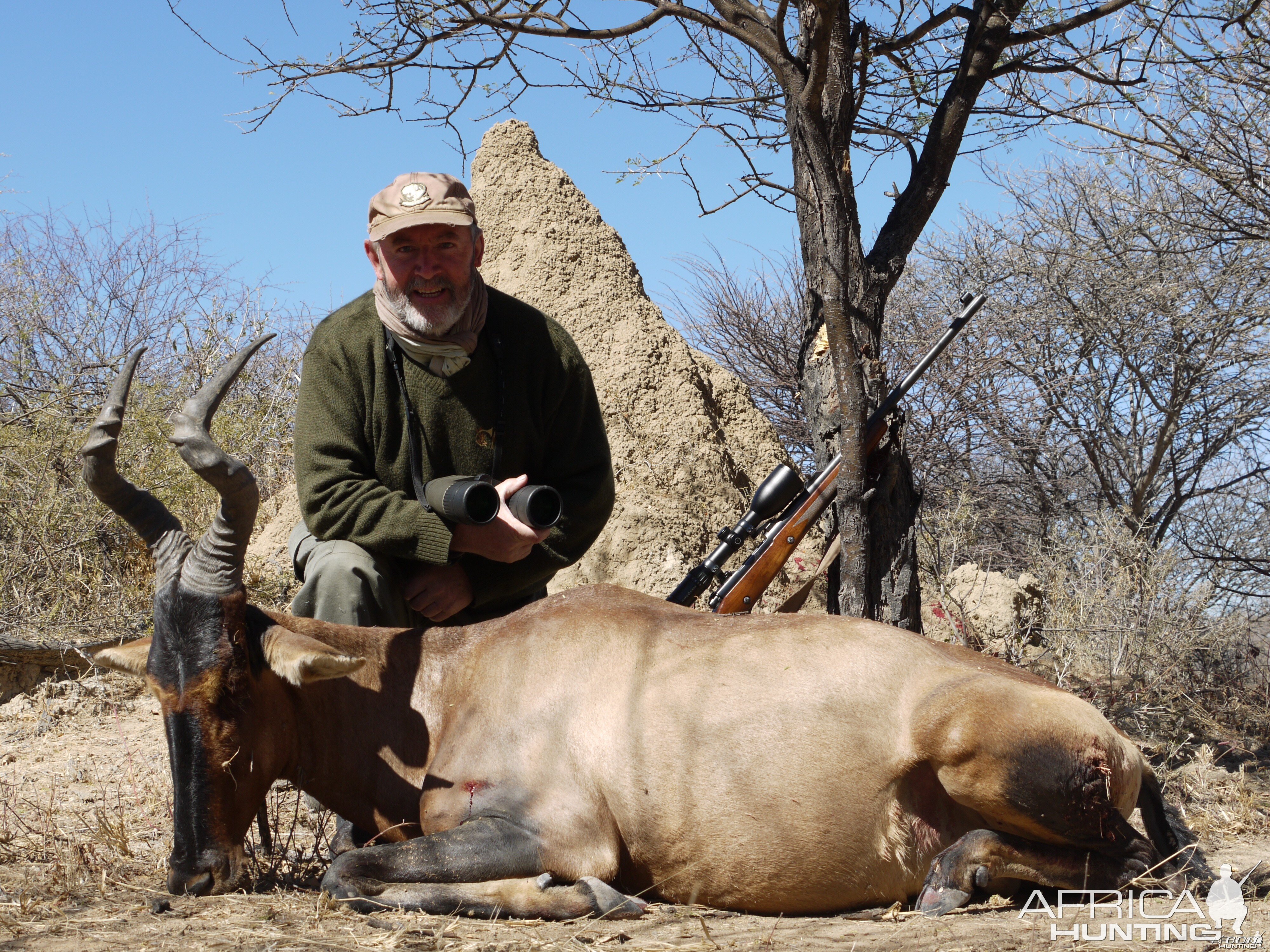 Hunting Red Hartebeest in Namibia