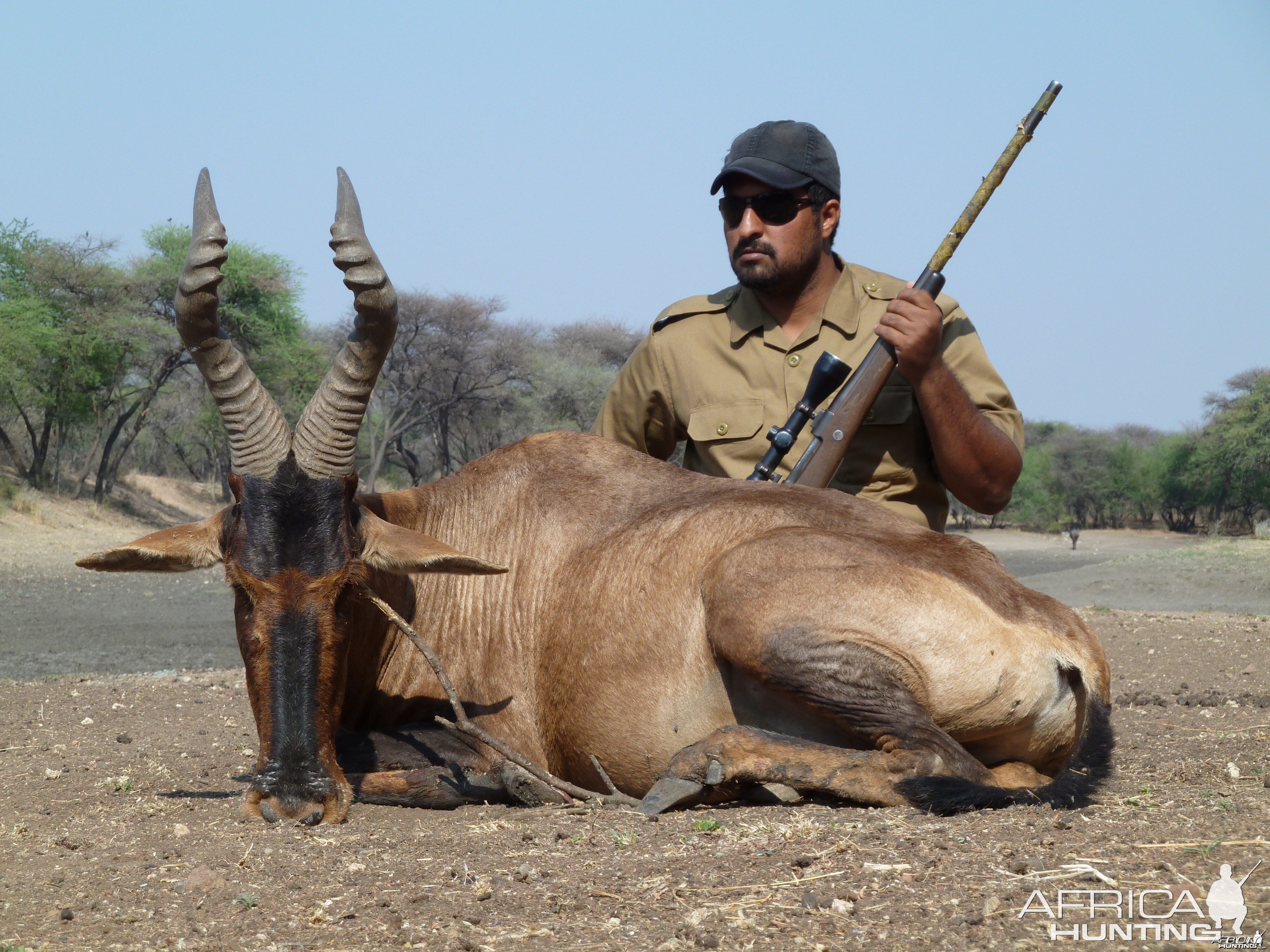 Hunting Red Hartebeest in Namibia