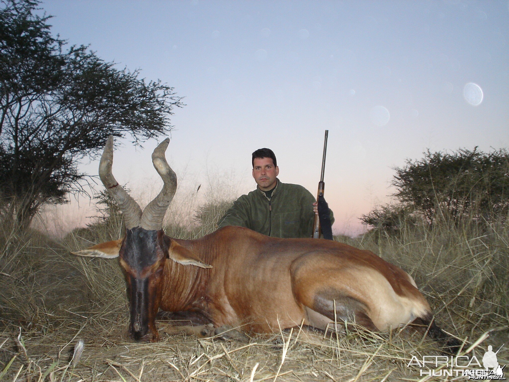 Hunting Red Hartebeest in Namibia