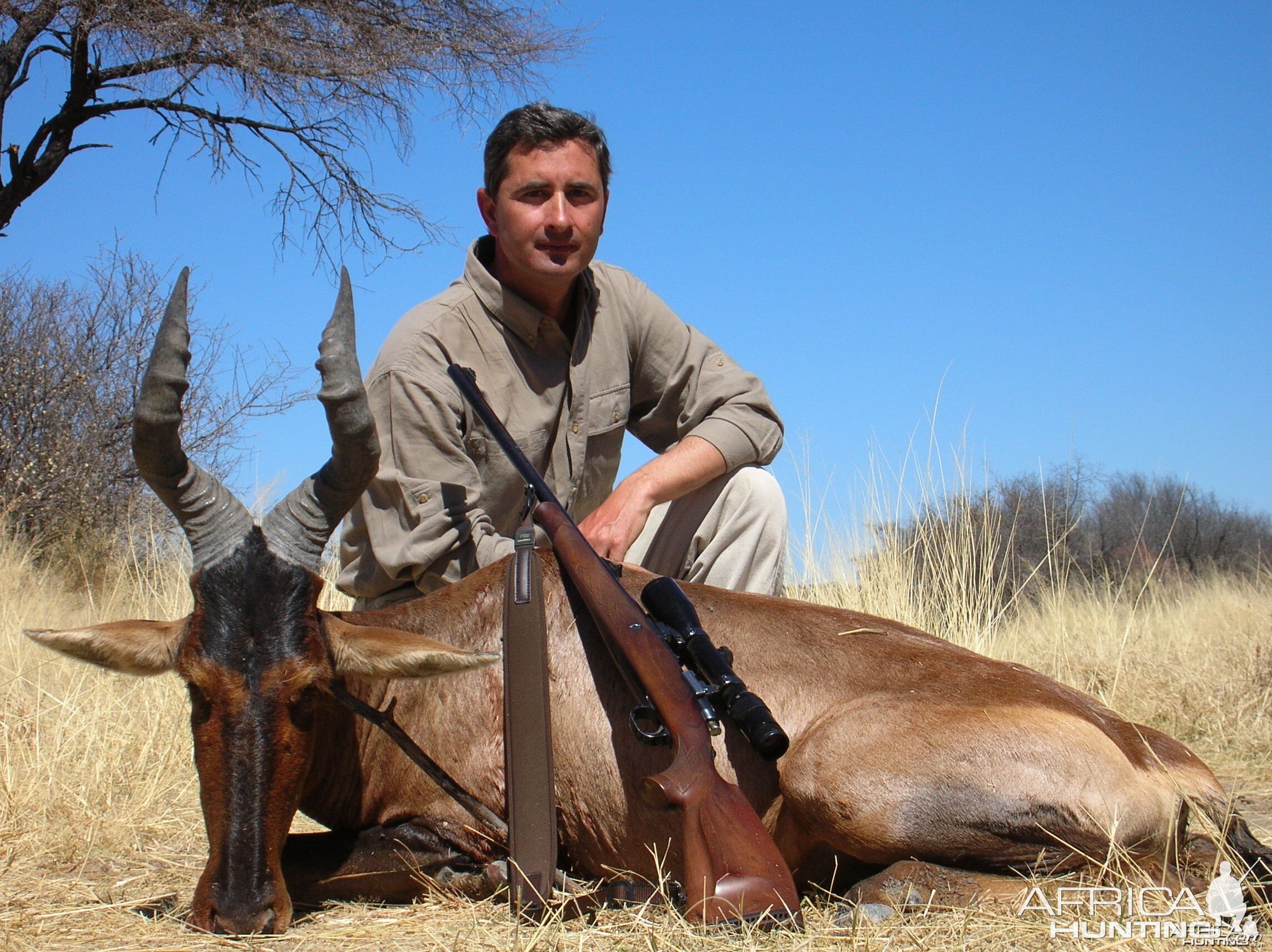 Hunting Red Hartebeest in Namibia