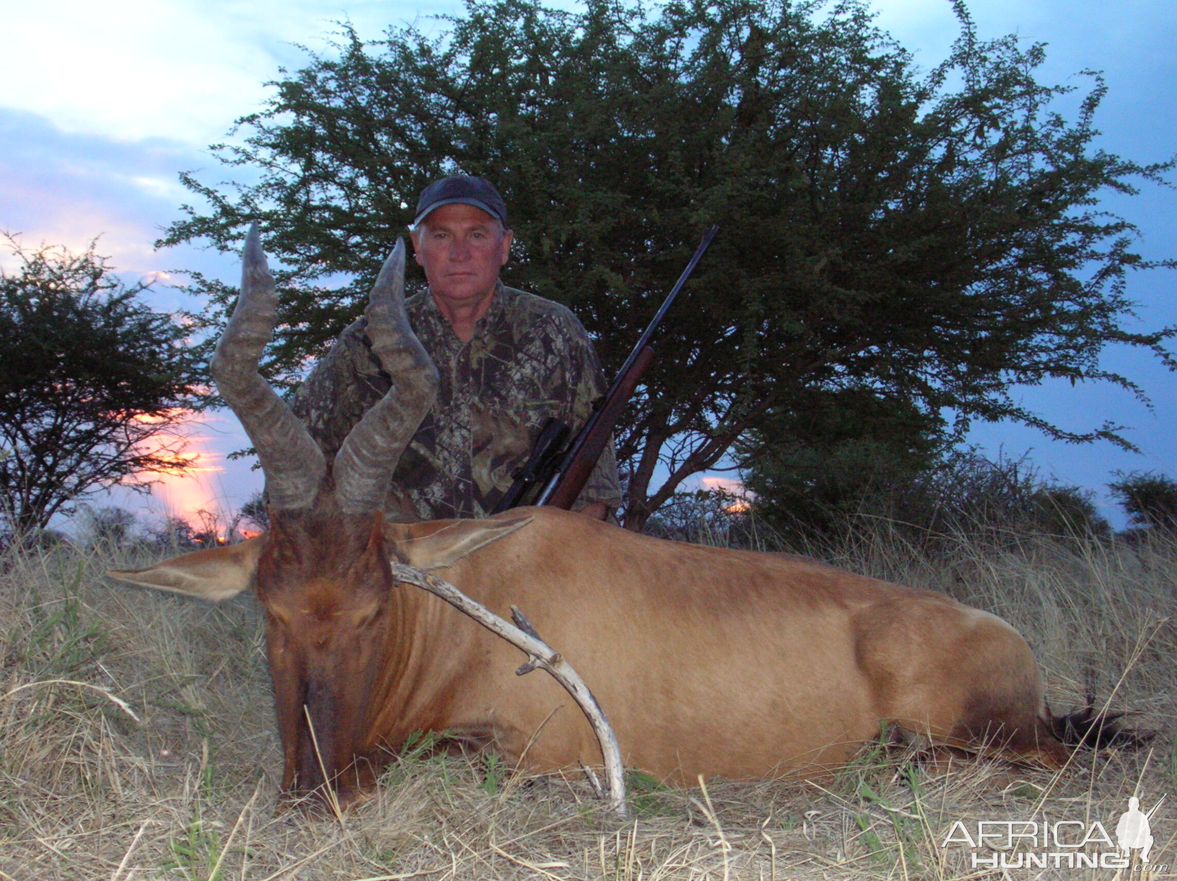 Hunting Red Hartebeest in Namibia