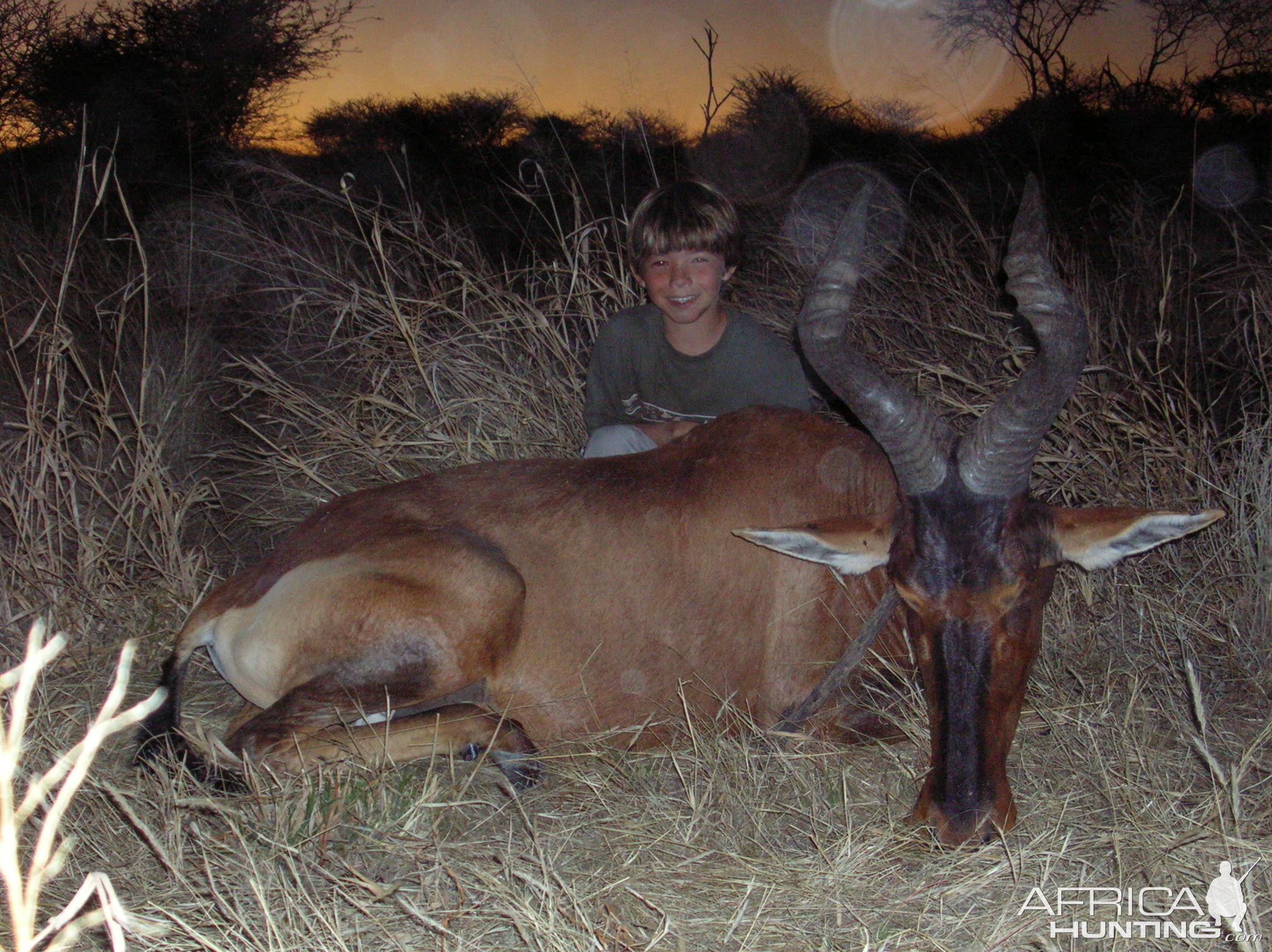 Hunting Red Hartebeest in Namibia