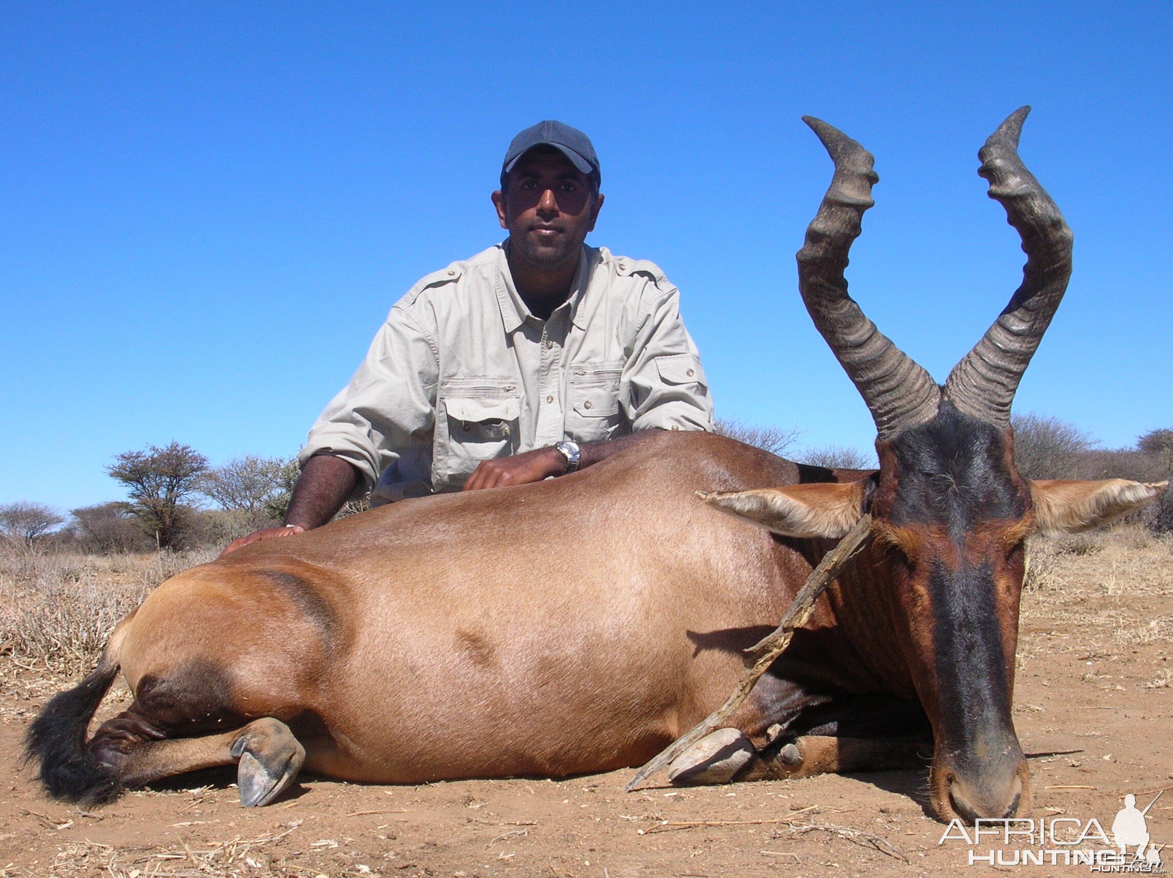 Hunting Red Hartebeest in Namibia