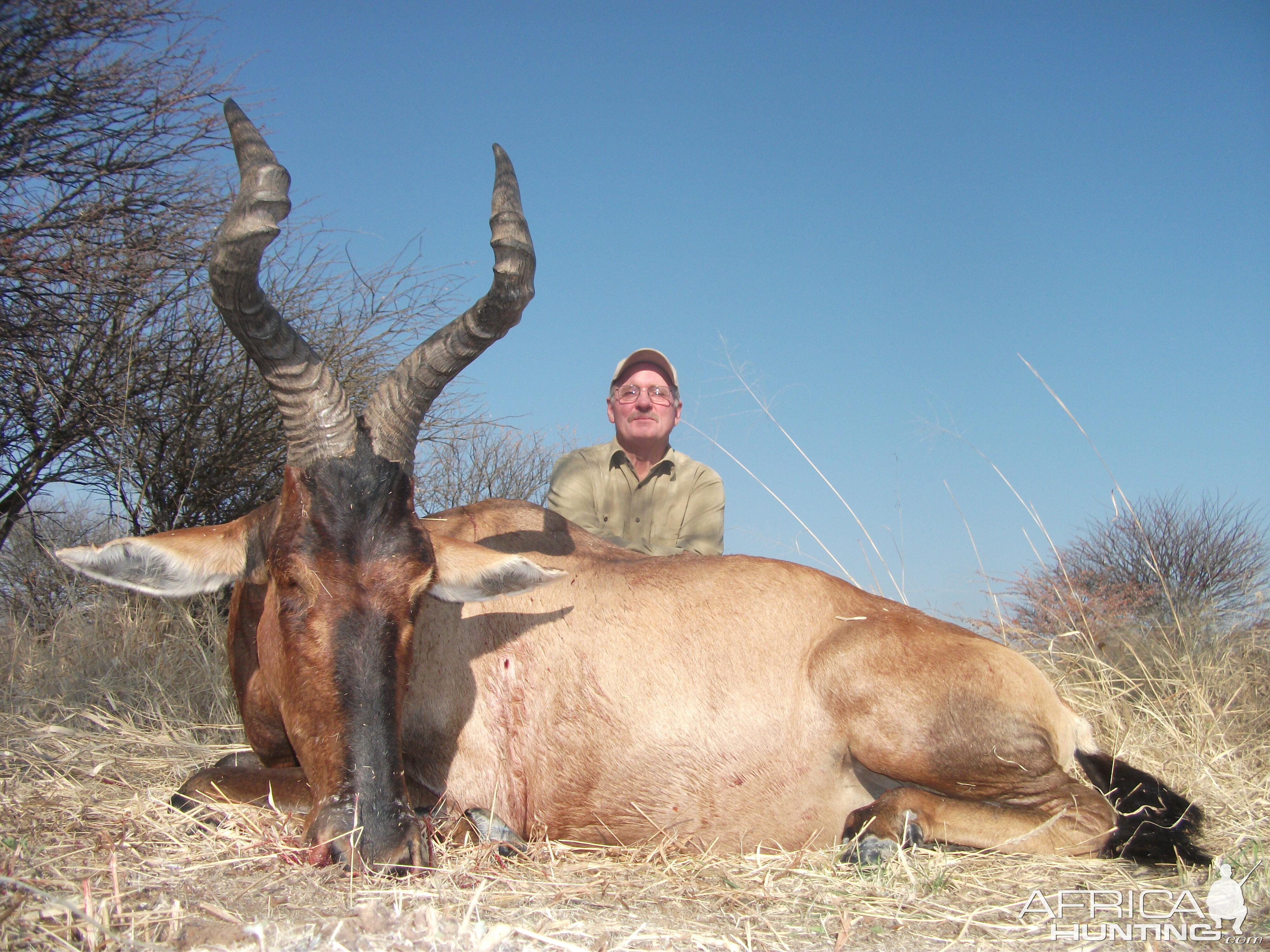 Hunting Red Hartebeest in Namibia