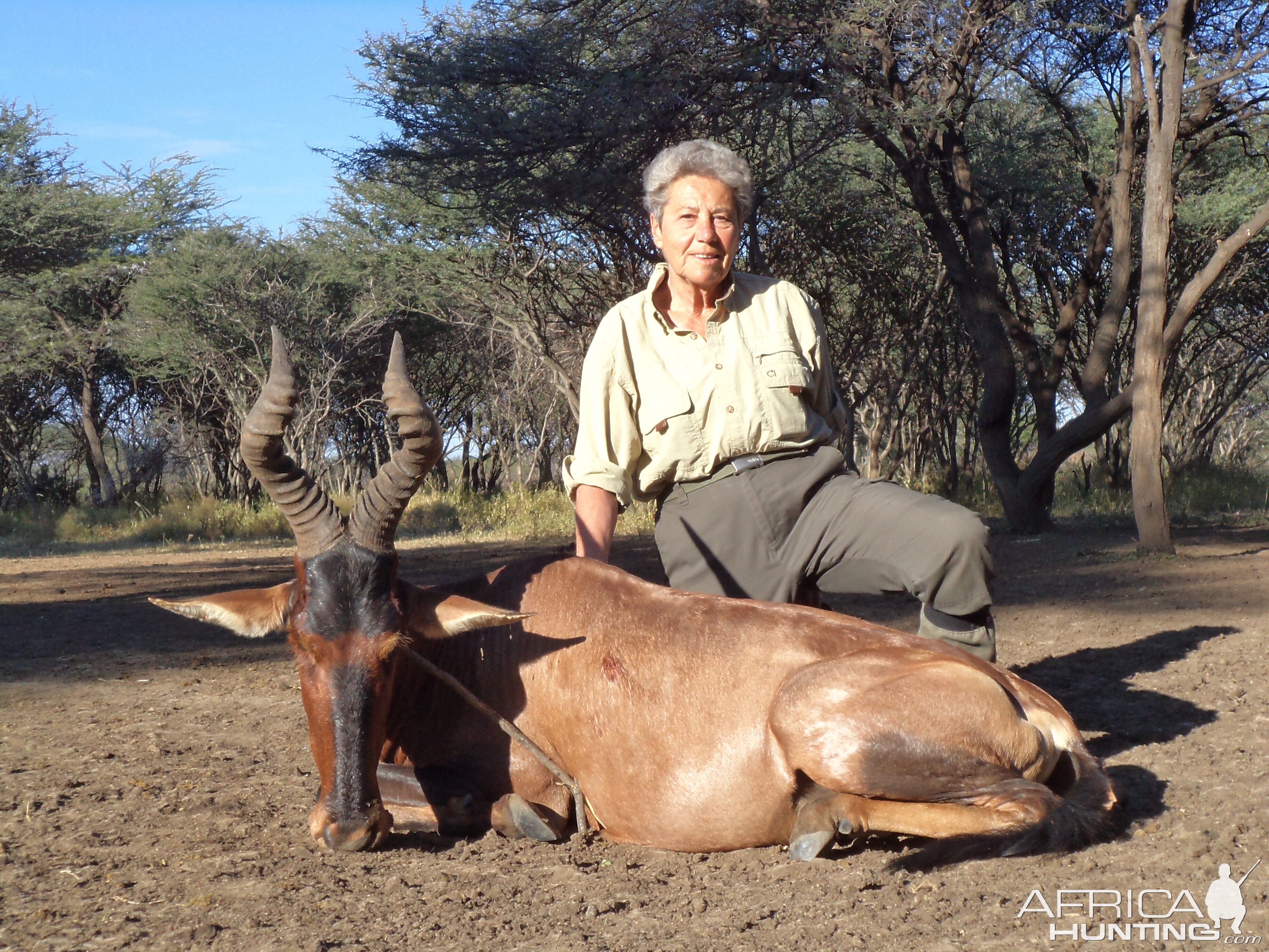 Hunting Red Hartebeest in Namibia