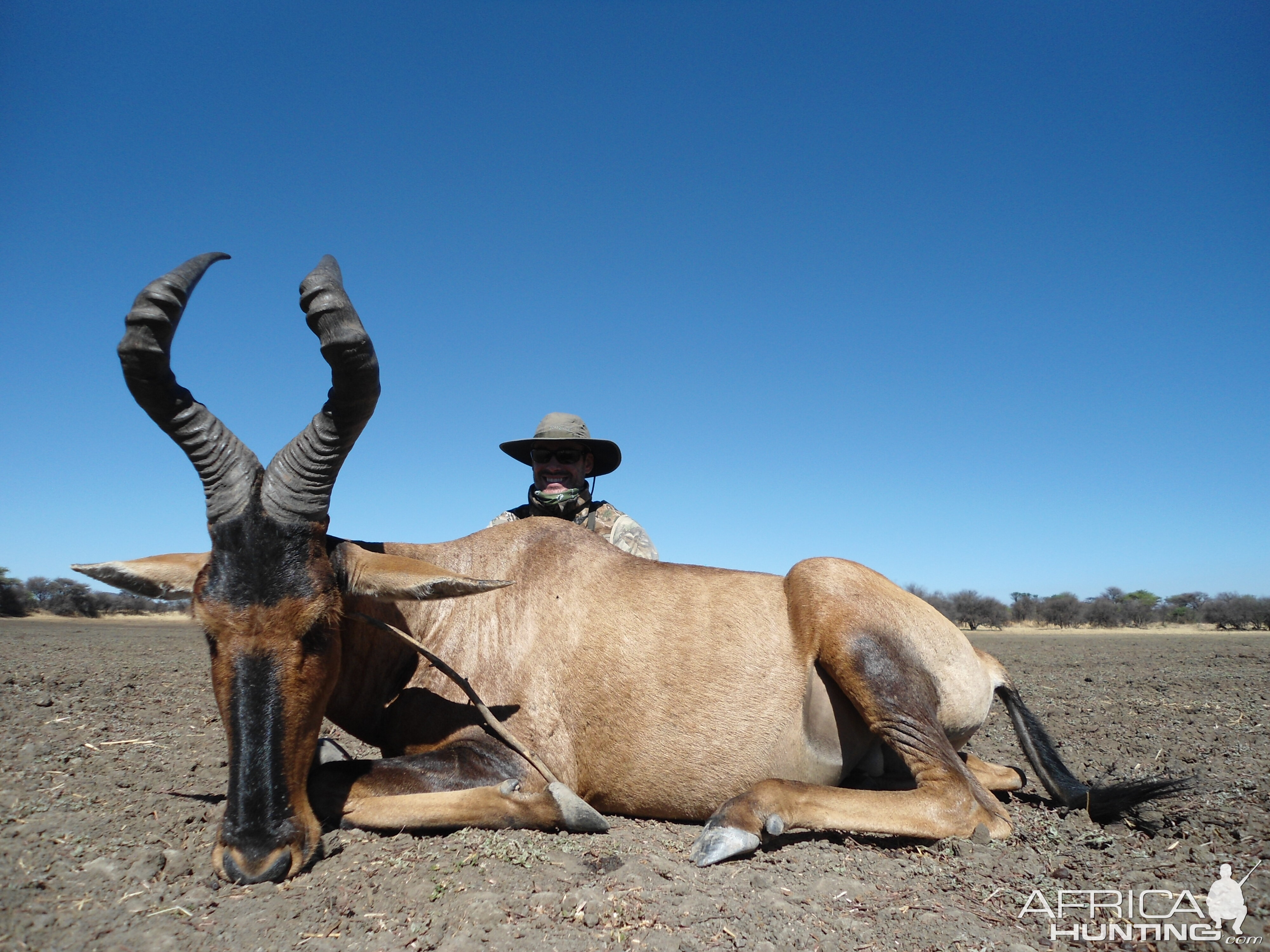 Hunting Red Hartebeest in Namibia