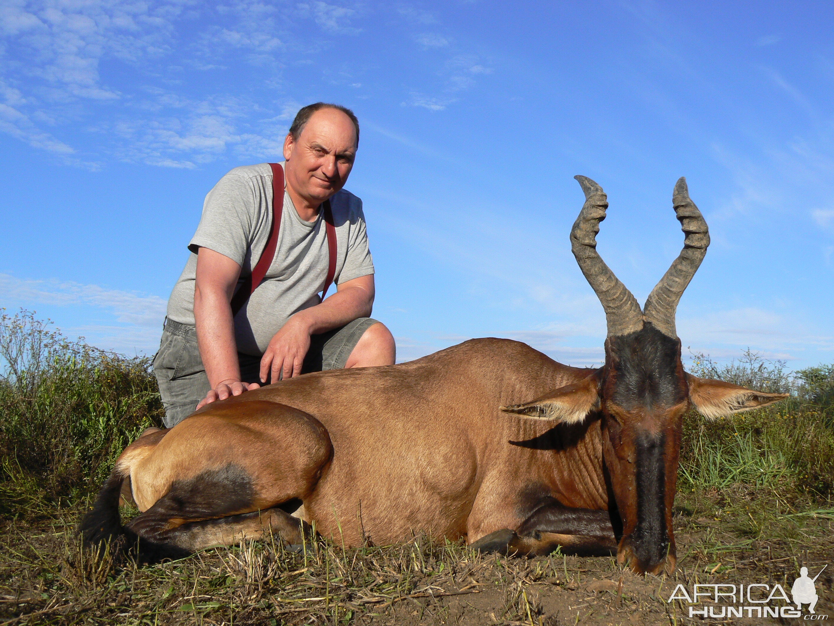 Hunting Red Hartebeest in Namibia