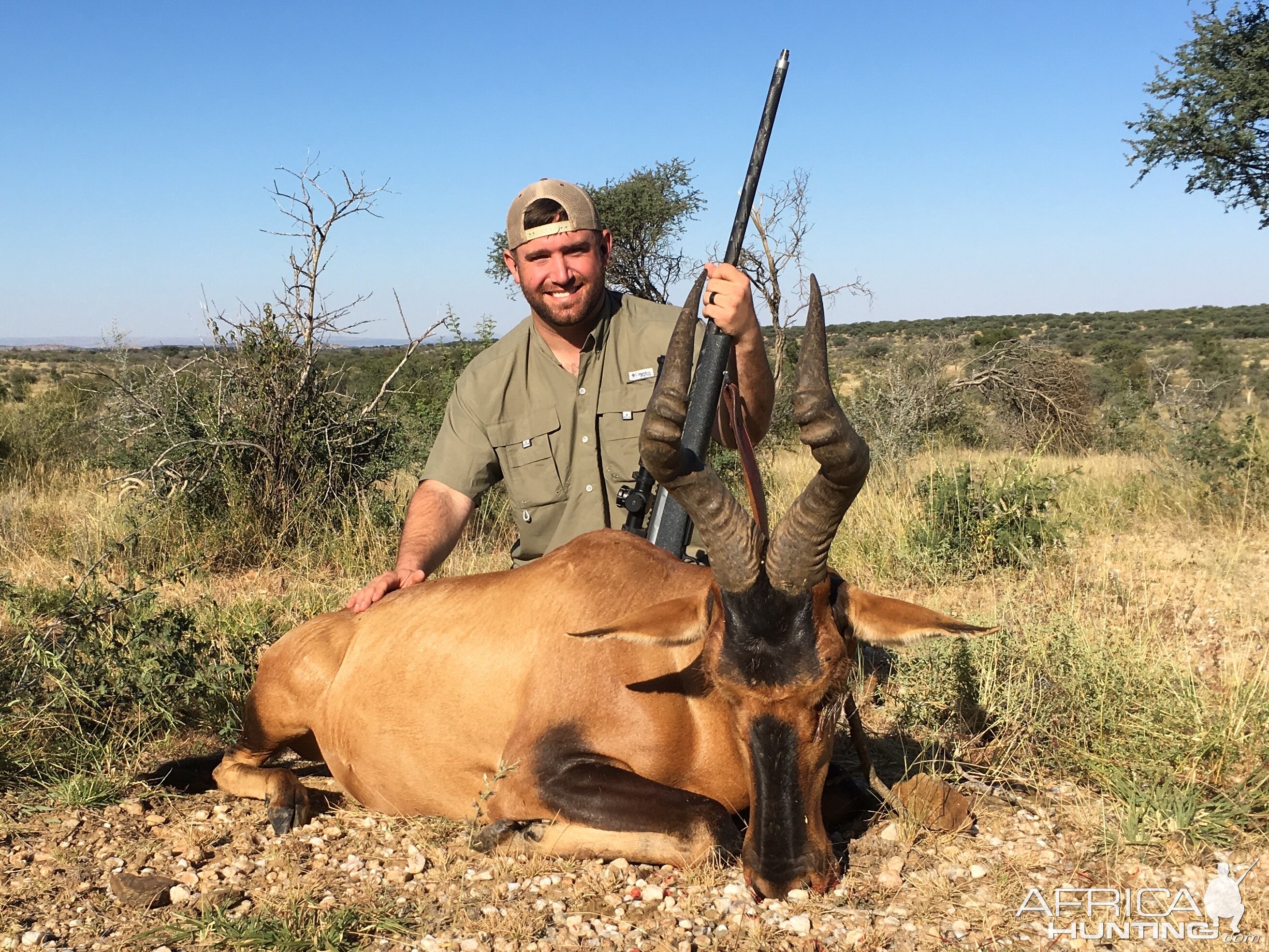 Hunting Red Hartebeest in Namibia