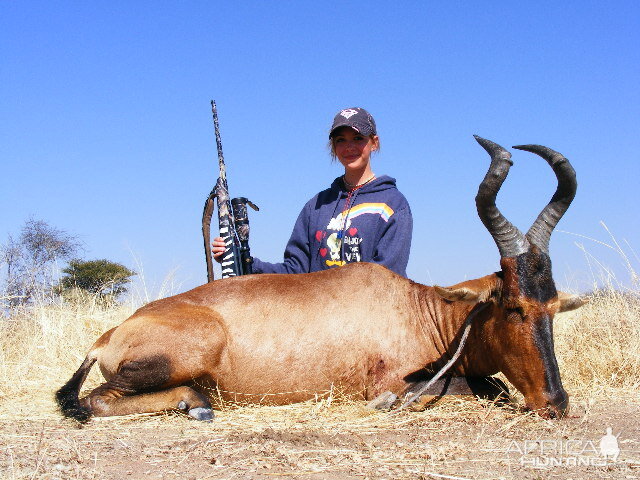 Hunting Red Hartebeest in Namibia