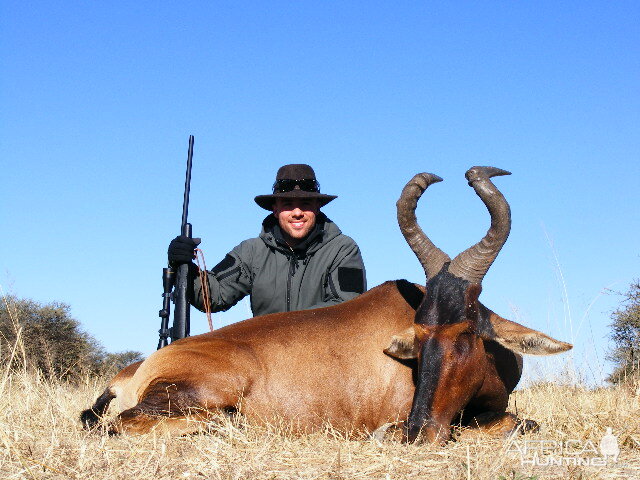 Hunting Red Hartebeest in Namibia