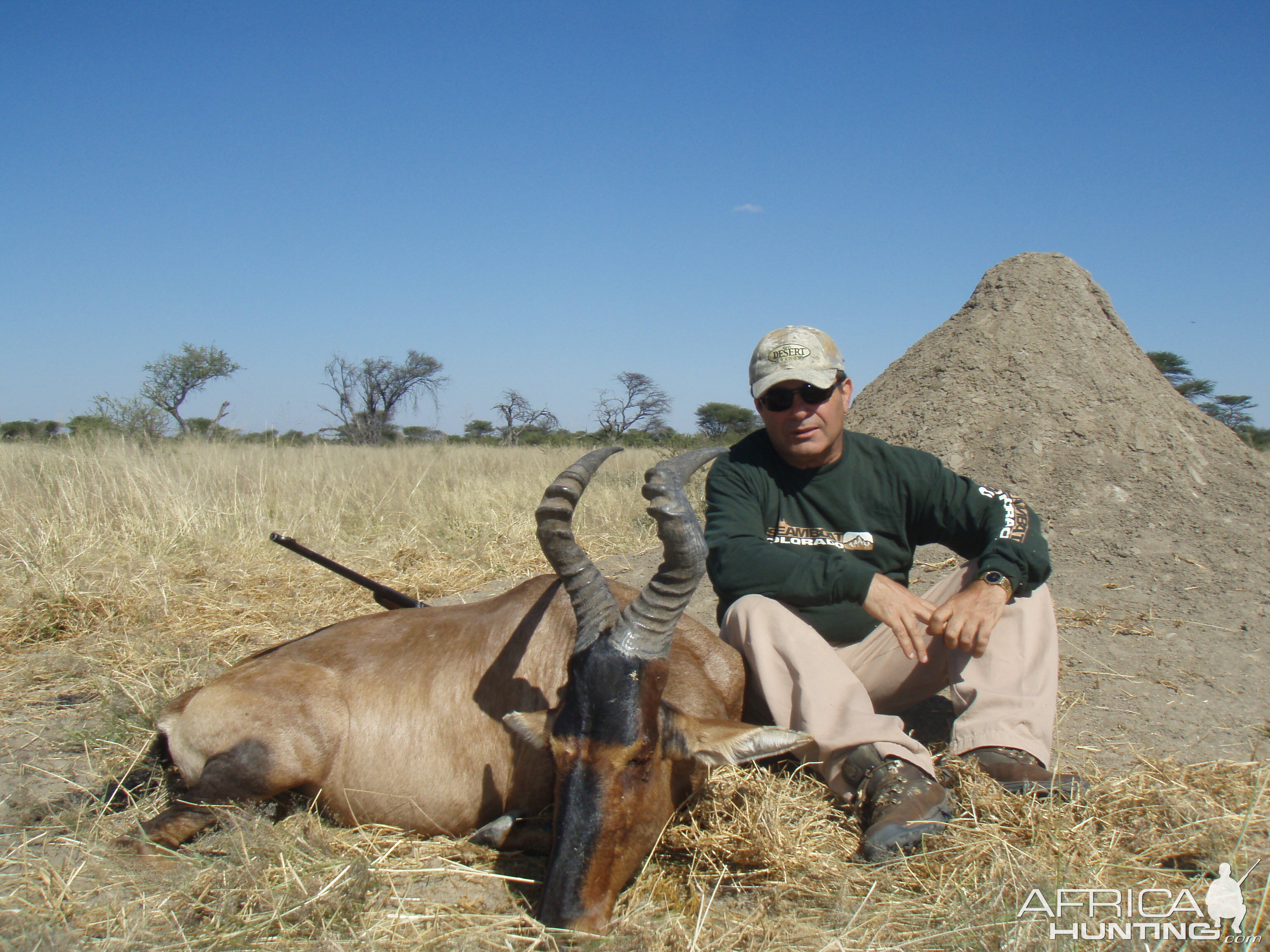 Hunting Red Hartebeest in Namibia