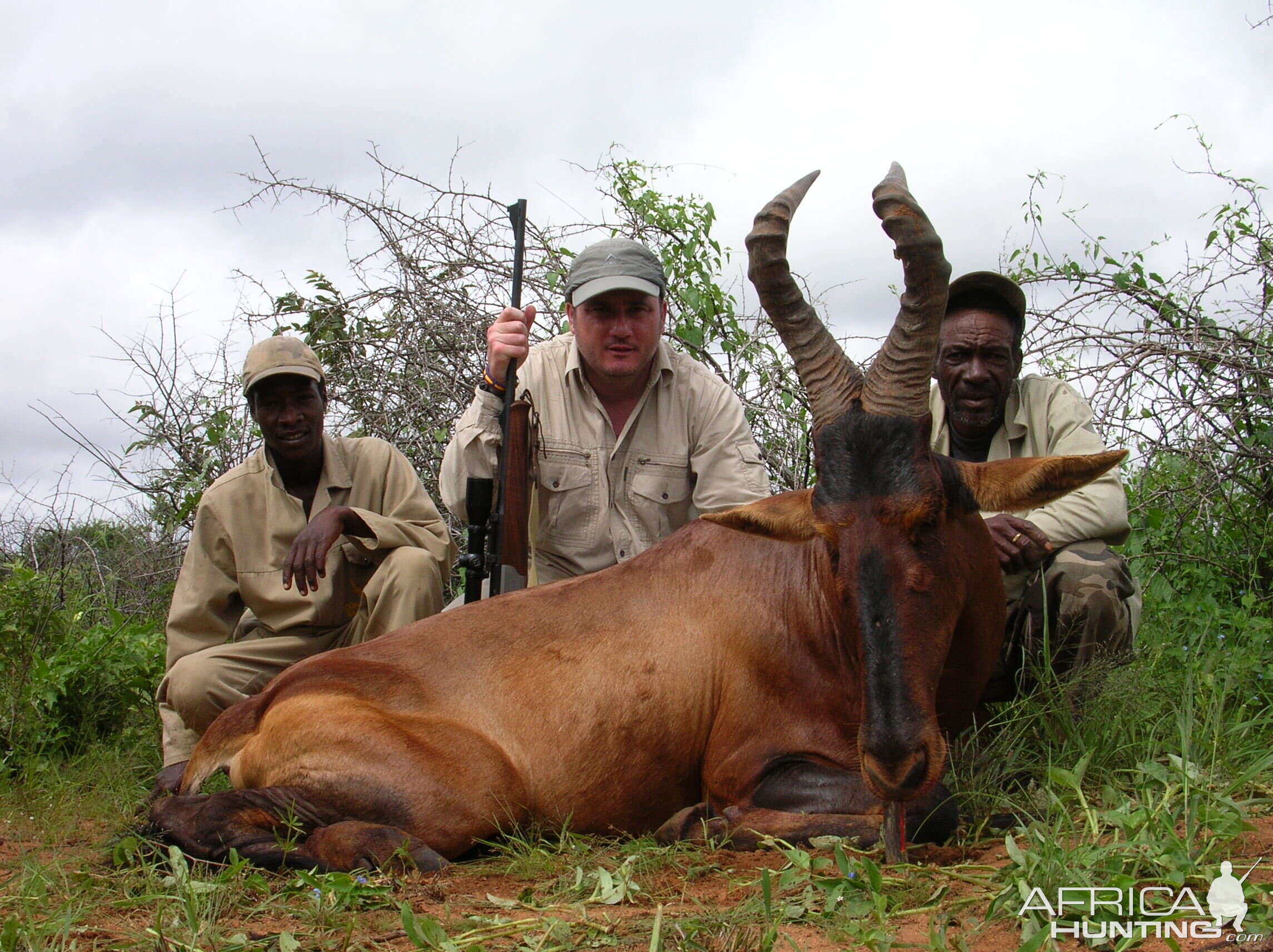 Hunting Red Hartebeest in Namibia