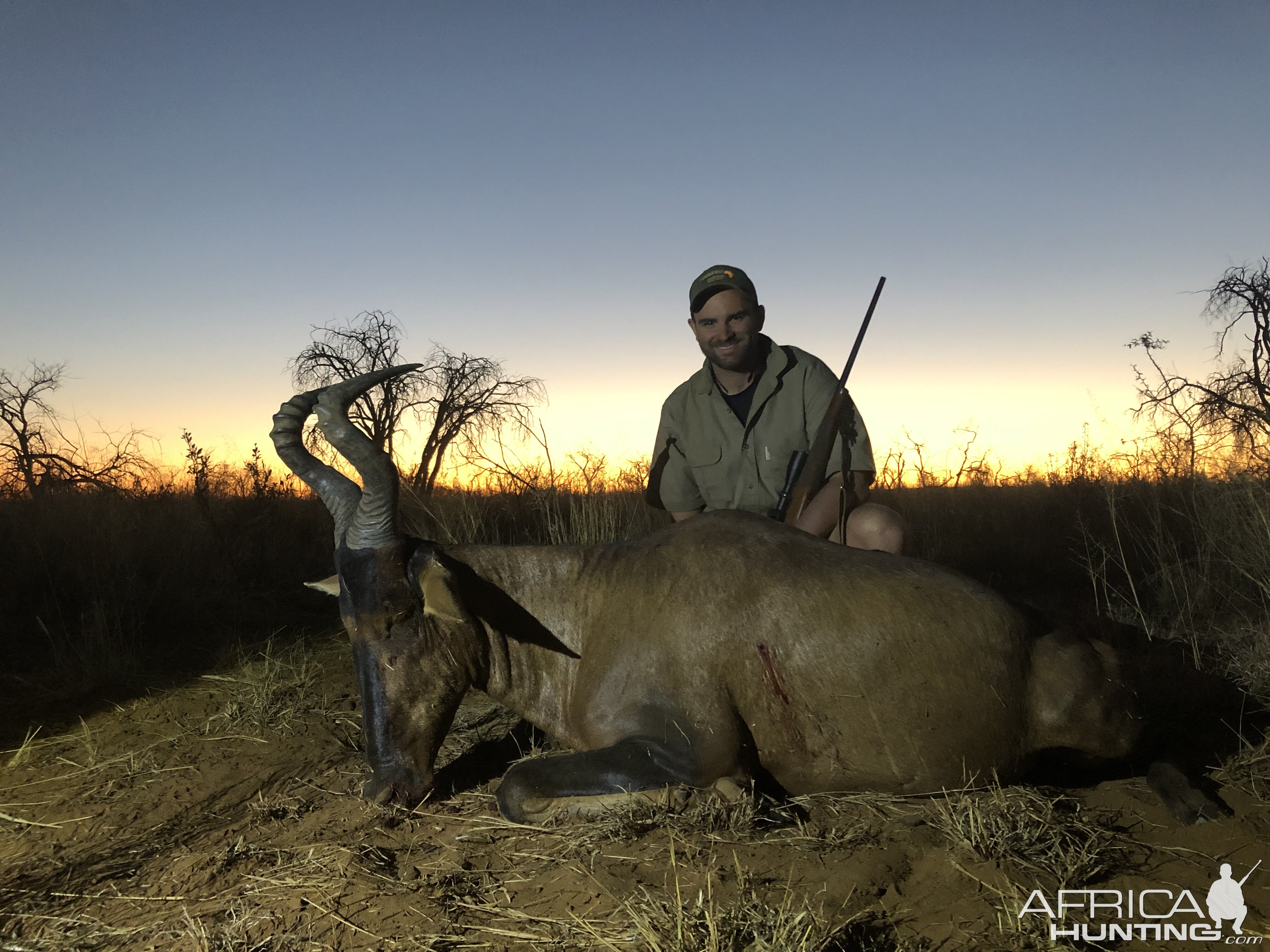 Hunting Red Hartebeest in Namibia