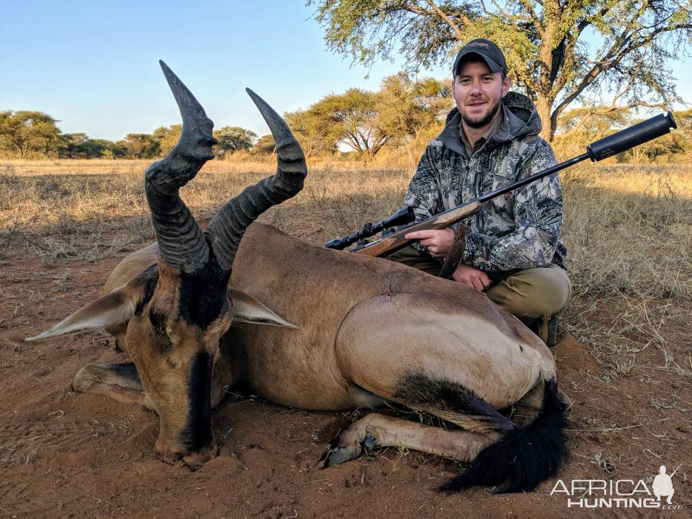 Hunting Red Hartebeest in South Africa