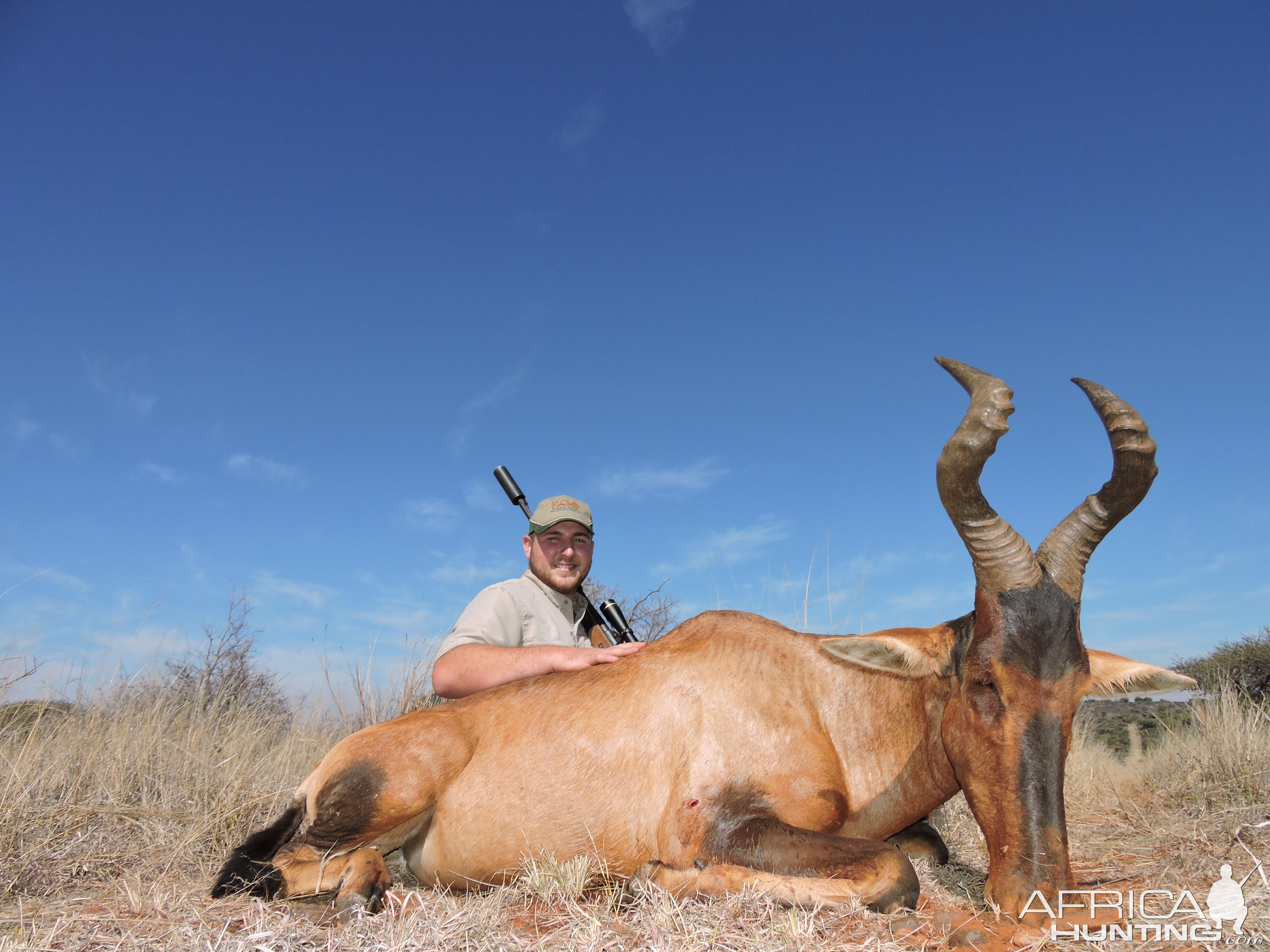 Hunting Red Hartebeest in South Africa