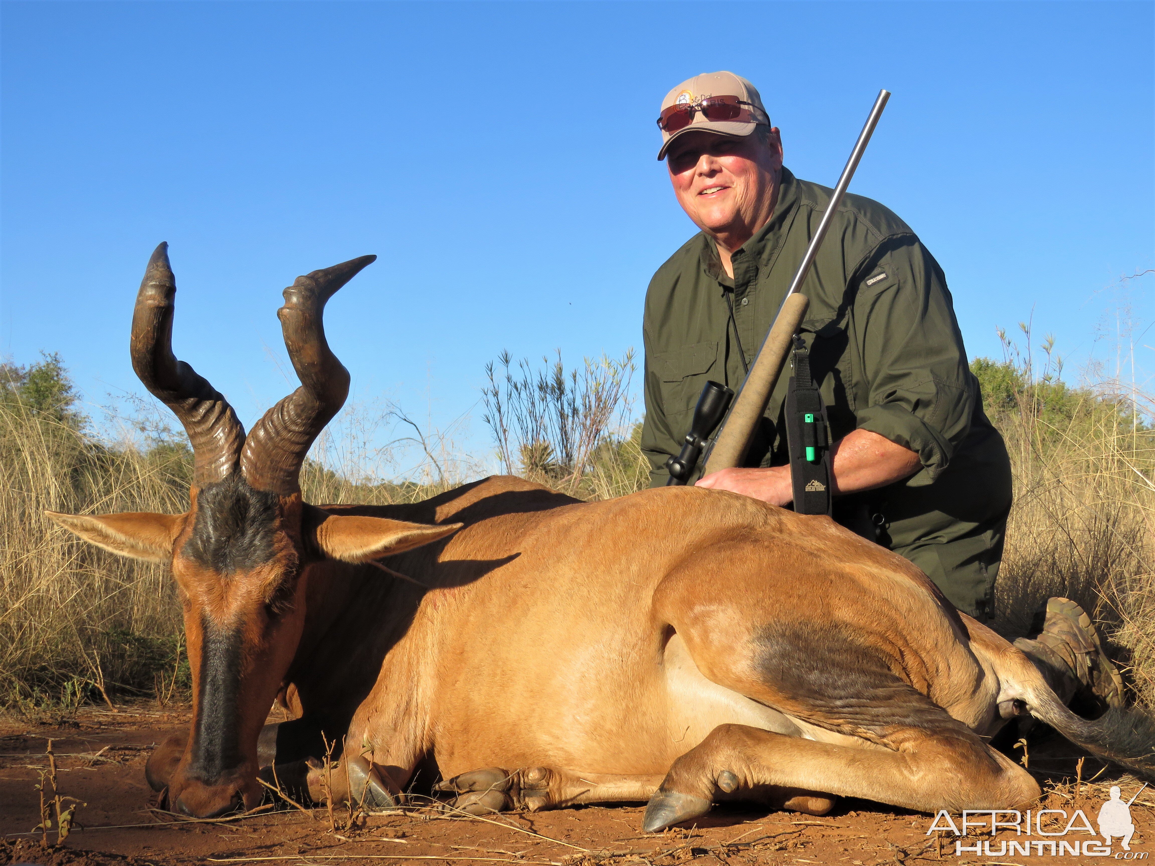 Hunting Red Hartebeest in South Africa