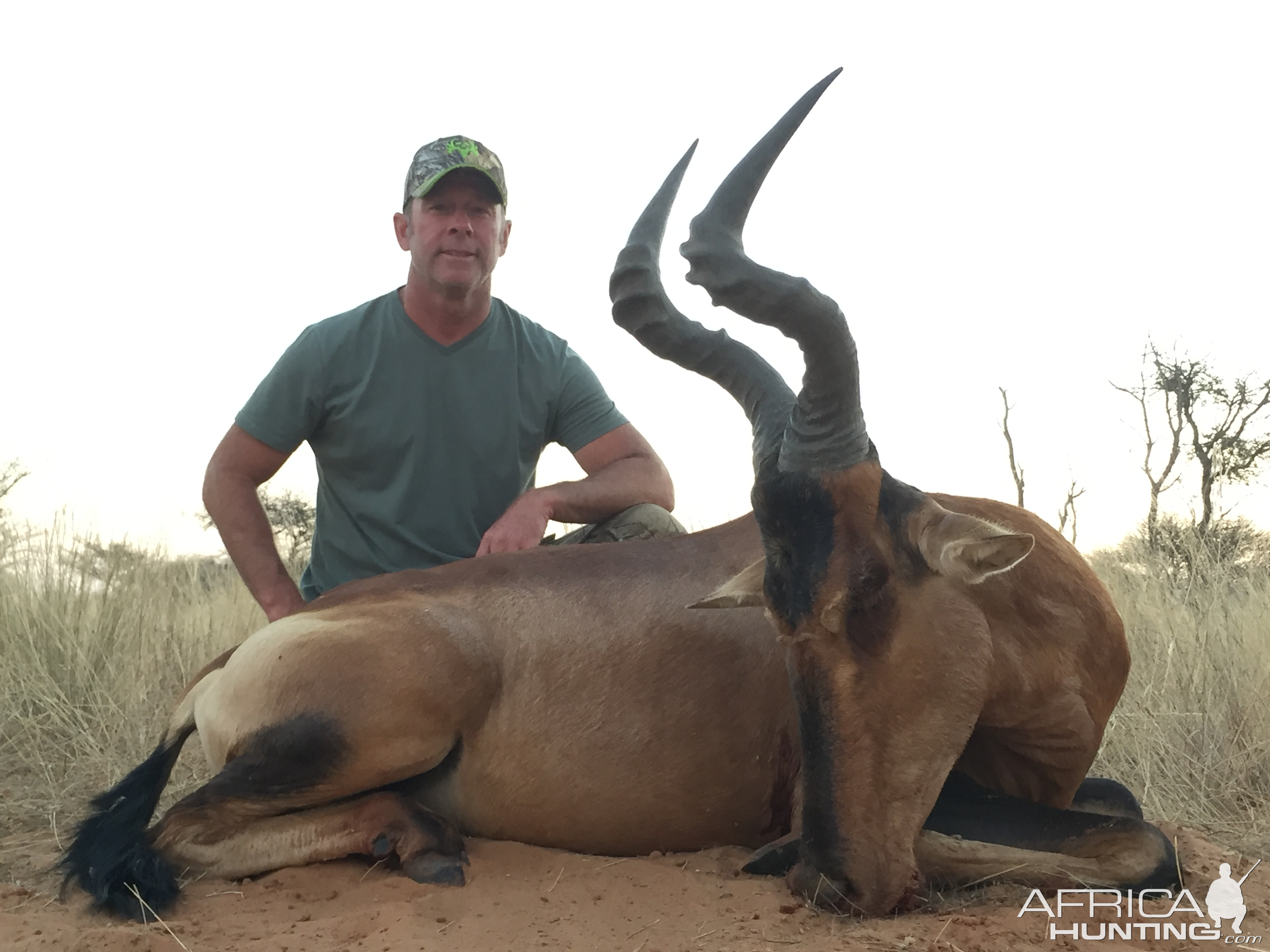 Hunting Red Hartebeest in South Africa