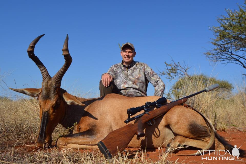 Hunting Red Hartebeest in South Africa