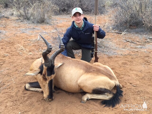 Hunting Red Hartebeest in South Africa