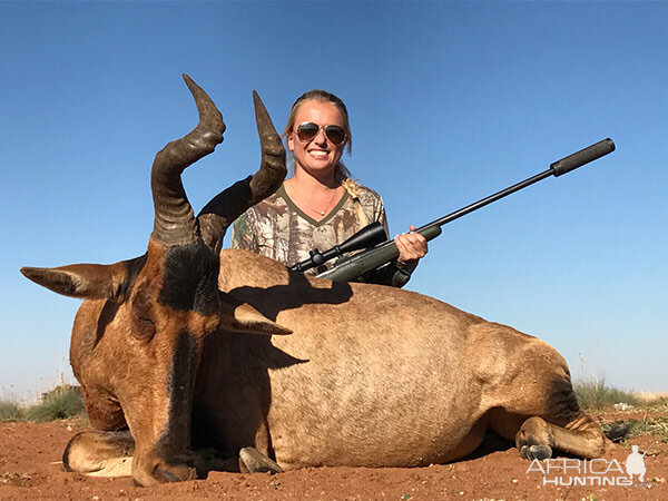 Hunting Red Hartebeest in South Africa