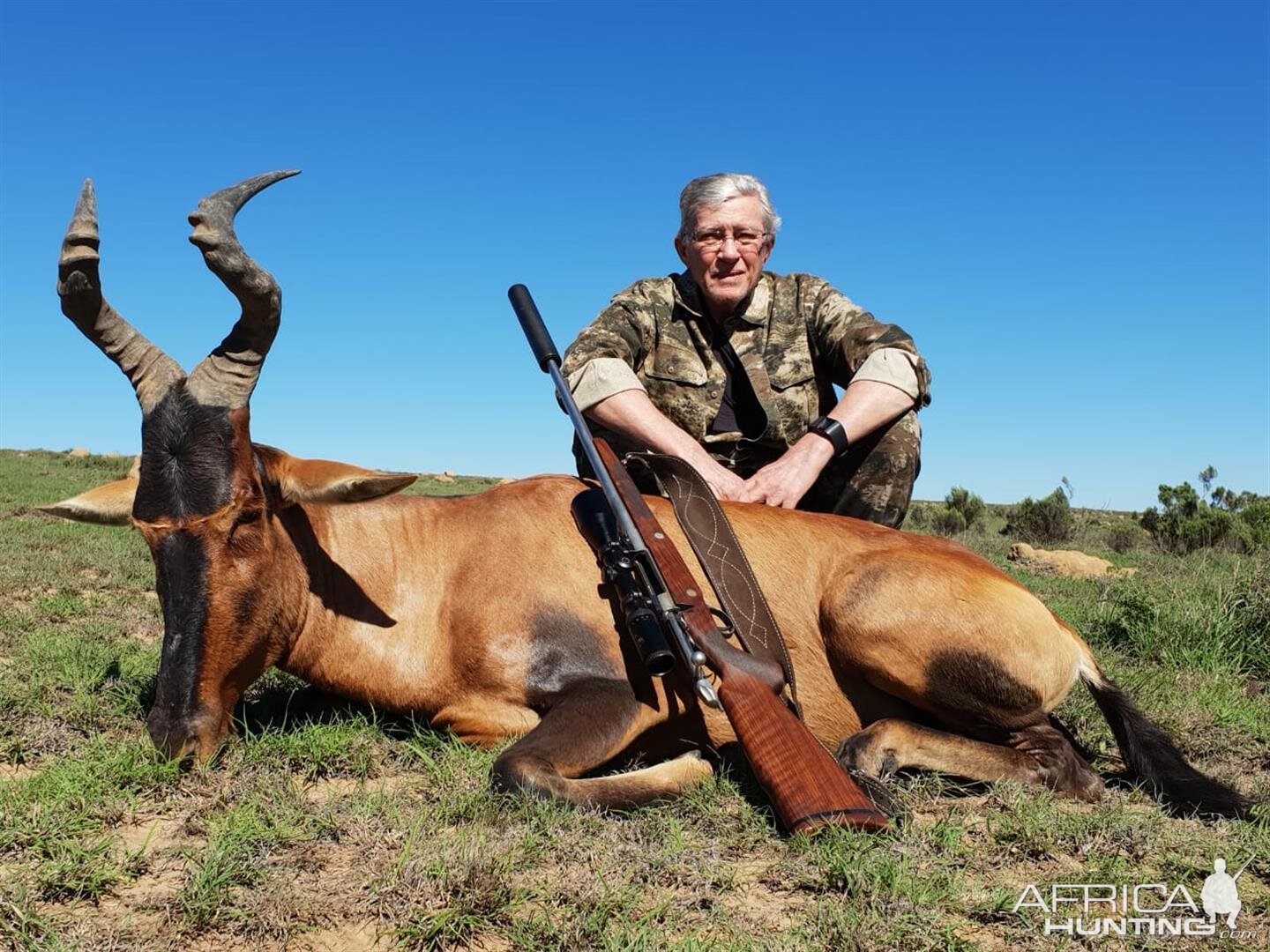 Hunting Red Hartebeest in South Africa