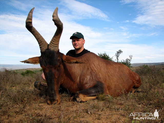 Hunting Red Hartebeest in South Africa